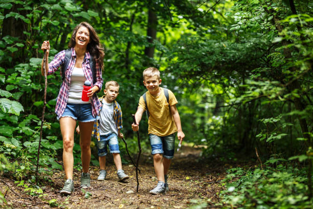 istock Mother and her little sons hiking trough forest . 1060808002