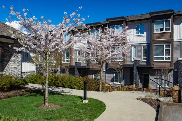 istock Modern low rise wood frame complex. On sunny day in spring with blooming sakura trees. 1060809258