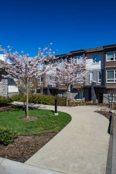 istock Modern low rise wood frame complex. On sunny day in spring with blooming sakura trees. 1060809292