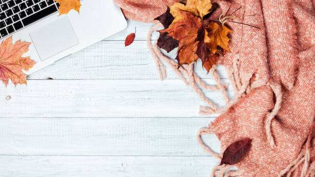 istock Home office desktop with a laptop, cozy warm pink plaid. 1060809496