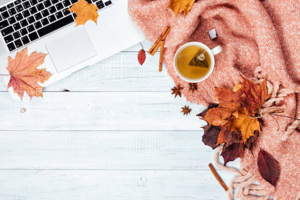 istock Home office desktop with a laptop, cozy warm pink plaid. 1060809498