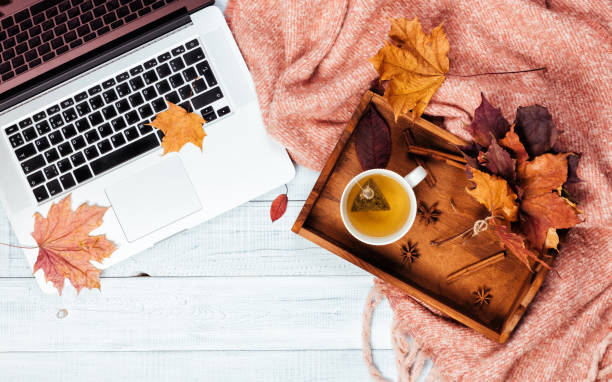 istock Home office desktop with a laptop, cozy warm pink plaid. 1060809548