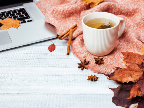 istock Home office desktop with a laptop, cozy warm pink plaid. 1060809574