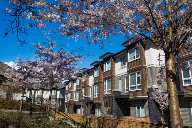 istock New modern low rise appartament complex on a sunny spring day with blooming sakura trees. 1060813718