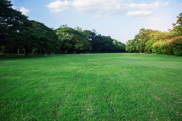 istock Green lawns in the park. 1060814880