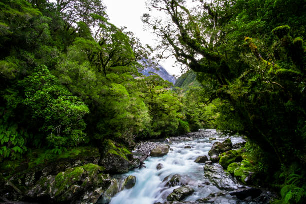 istock A blue glacier river among the green nature. 1060817504