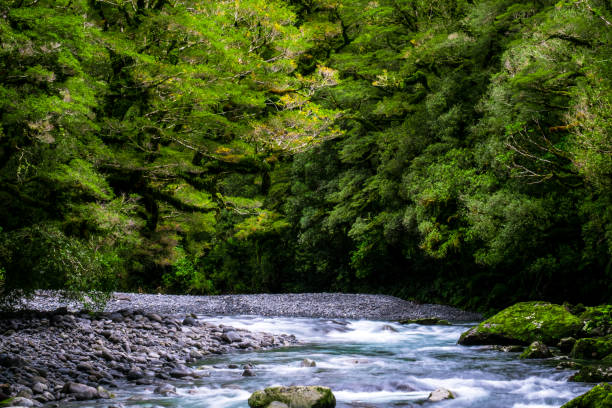 istock A blue glacier river among the green nature. 1060817516