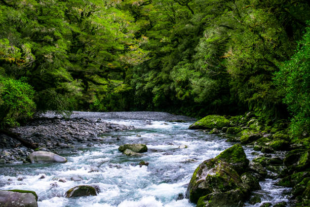 istock A blue glacier river among the green nature. 1060817528