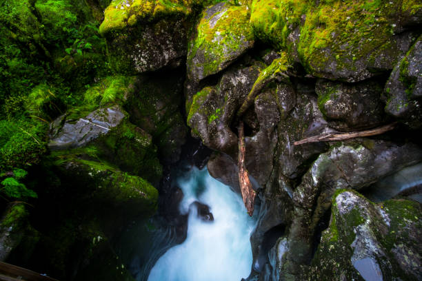 istock A blue glacier river among the green nature. 1060817530