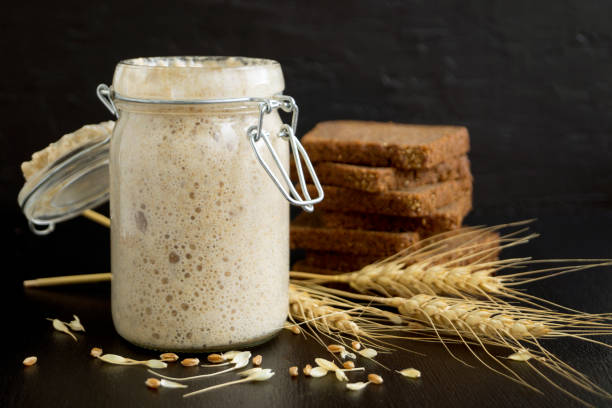 istock Active rye sourdough in a glass jar for homemade bread. 1060817710