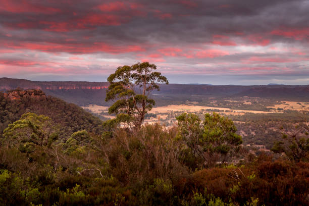 istock Views from the cliffs out over the valley during a pretty sunset.  Lithgow 1060823146