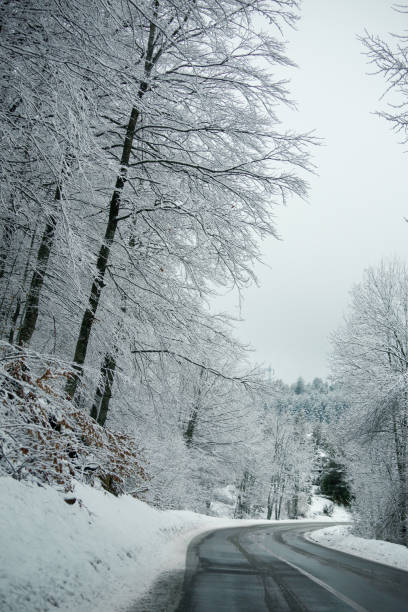 istock Winter road in the mountains 1060823474