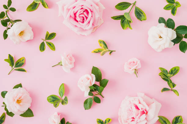 istock Composition with roses and leaves on pastel pink background. Flat lay, top view. 1060830822