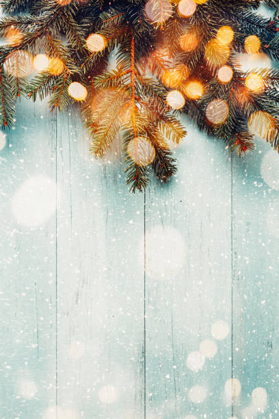 Christmas fir branches with lights on wooden planks Fir branches on blue wooden planks with lights bokeh. Copy space floral garland photos stock pictures, royalty-free photos & images