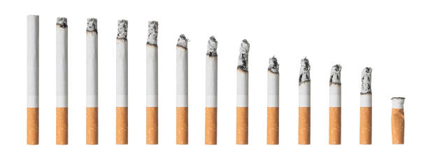 ensemble de cigarettes différentes isolé sur blanc - mégot de cigarette photos et images de collection