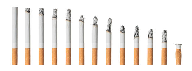 Conjunto de cigarros diferentes isolado no branco - foto de acervo