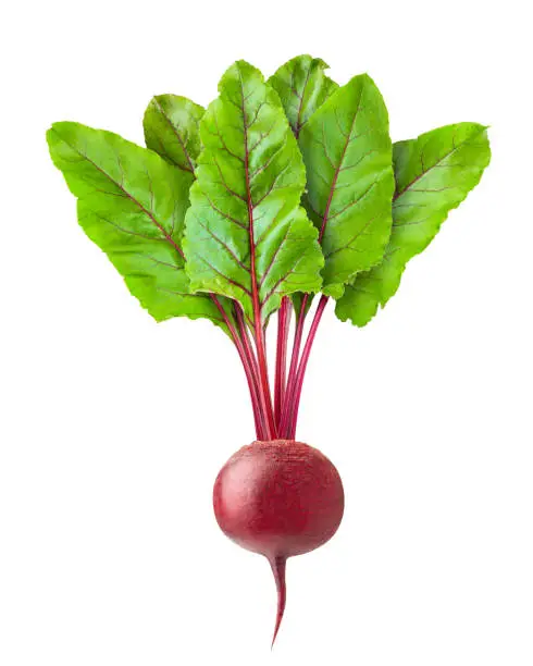 beetroot isolated on white background, clipping path, full depth of field