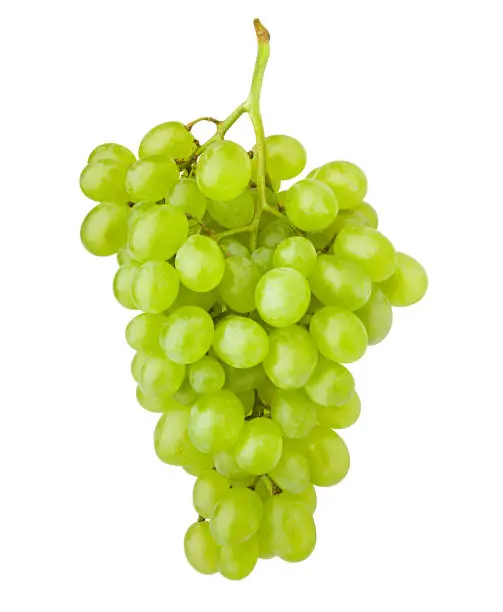 Photo of Green grape, isolated on white background, clipping path, full depth of field