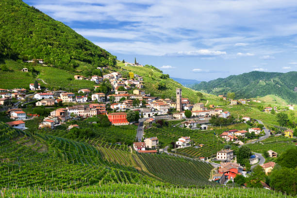 panorama von santo stefano-valdobbiadene (tv) land prosecco weinberge im frühjahr - veneto stock-fotos und bilder