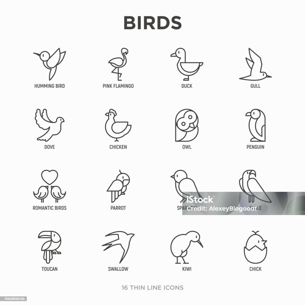 Birds thin line icons set: dove, owl, penguin, sparrow, swallow, kiwi, parrot, eagle, humming bird, pink flamingo. Modern vector illustration. Icon Symbol stock vector