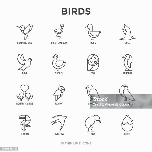 Birds Thin Line Icons Set Dove Owl Penguin Sparrow Swallow Kiwi Parrot Eagle Humming Bird Pink Flamingo Modern Vector Illustration Stock Illustration - Download Image Now