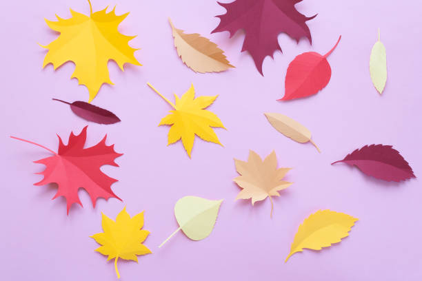 istock Autumn leaves on pink background. Autumn concept 1060860470