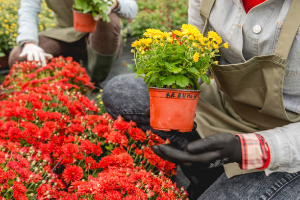 istock Holding pot of flowers 1060860774