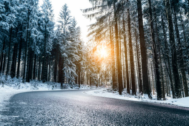 estrada de inverno através da floresta - cold forest frost ice - fotografias e filmes do acervo