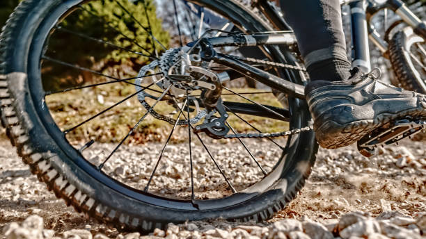 istock Male mountain biker riding bicycle 1060878238