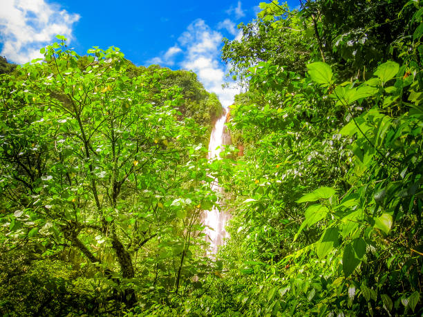 istock Guadeloupe Antilles Waterfalls 1060880246