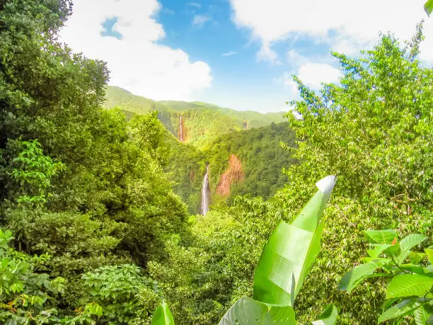 Photo of Caribbean Carbet Falls