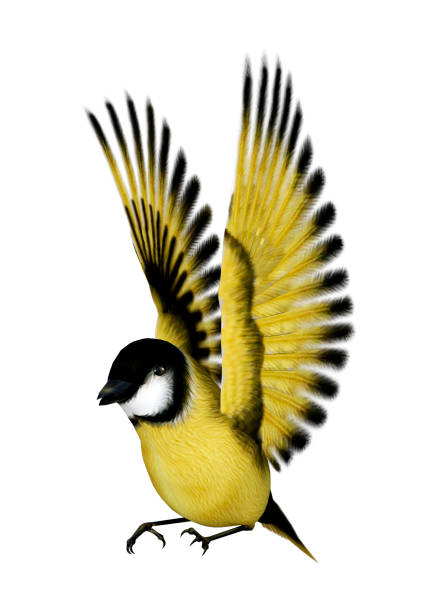 istock 3D illustration songbird goldfinch on white 1060881424