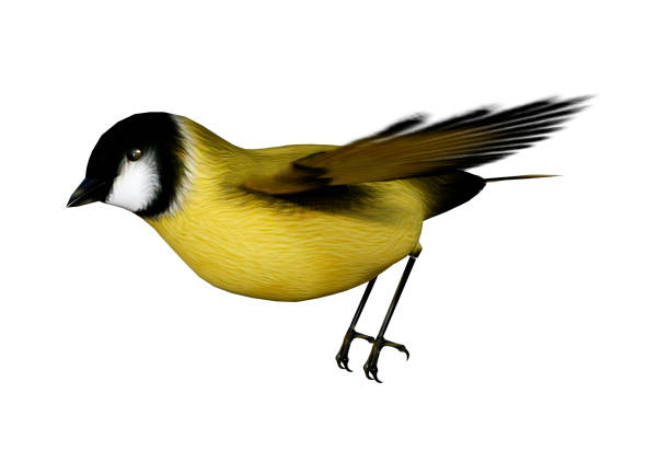istock 3D illustration songbird goldfinch on white 1060881434