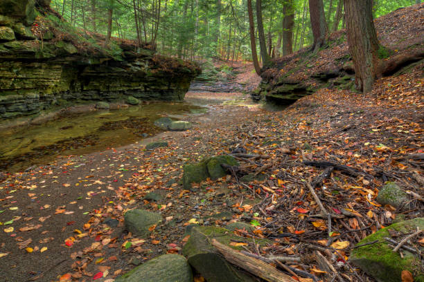 istock Forest Creek In Autumn 1060883450
