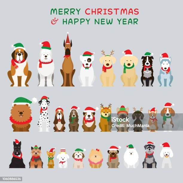 犬では座っている文字クリスマス衣装を着て - クリスマスのベクターアート素材や画像を多数ご用意 - クリスマス, 犬, バケーション