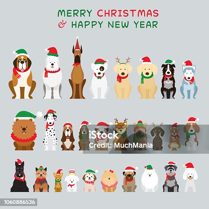 istock Dogs Sitting and Wearing Christmas Costume, Characters 1060886536
