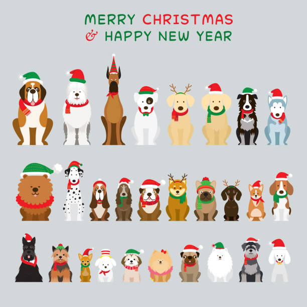 Dogs Sitting and Wearing Christmas Costume, Characters Winter and New Year Celebration dog sitting stock illustrations