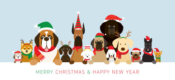 illustrations, cliparts, dessins animés et icônes de chiens portant costume de noël tenant bannière - christmas dachshund dog pets