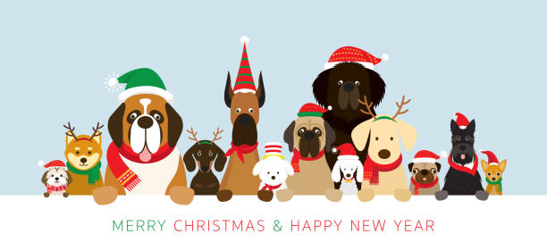 バナーを押しクリスマス衣装を着て犬 - animal backgrounds canine dachshund点のイラスト素材／クリップアート素材／マンガ素材／アイコン素材