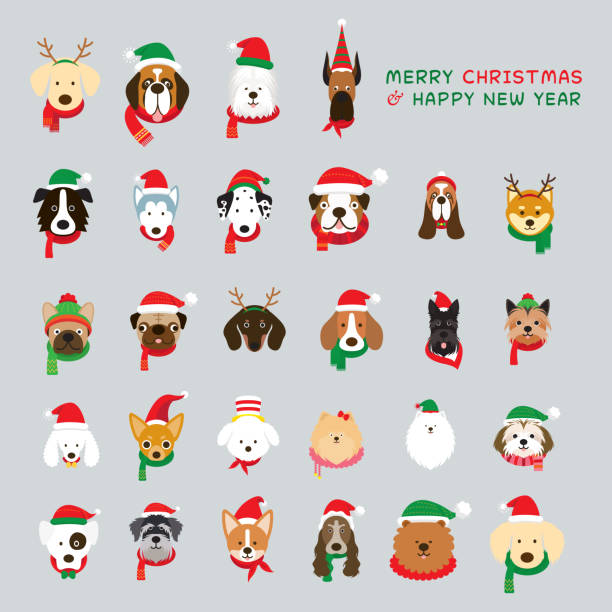 illustrations, cliparts, dessins animés et icônes de tête de chiens portant costume de noël - christmas dachshund dog pets