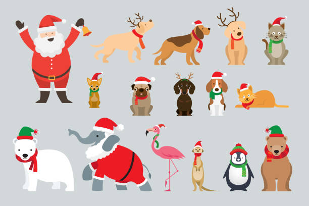 ilustrações de stock, clip art, desenhos animados e ícones de santa claus and animals wearing christmas costume - group of animals animal bird flamingo