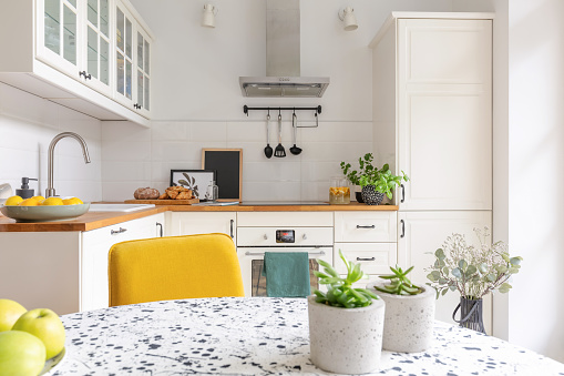 Plants in pots on the table in stylish white kitchen interior, real photo