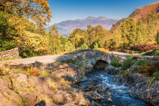 outono na ponte de ashness - unesco world heritage site day sunlight tree - fotografias e filmes do acervo