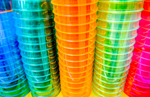rows of plastic glasses - photo