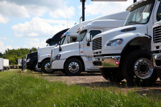 istock Semi trucks that are for sale 1060893728