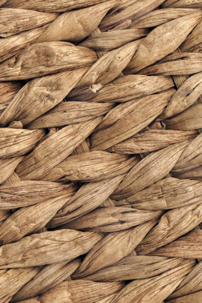 Texture Raphia 100+ Raffia Palm Photos, taleaux et images libre de droits - iStock