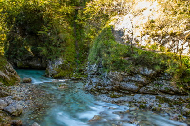 istock Tolmin Gorge, Slovenia 1060901080
