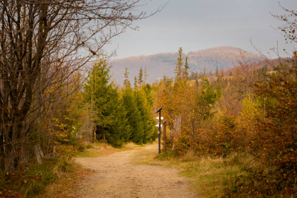 Autumn landscape photo taken in polish Beskidy mountains, Grabowa.
