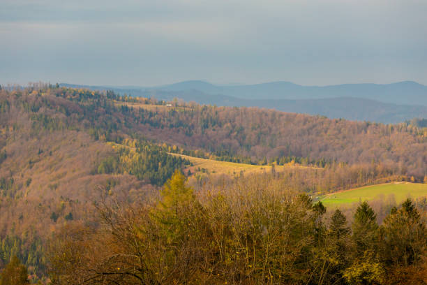 istock Beautiful polish autumn woods landscape 1060904164