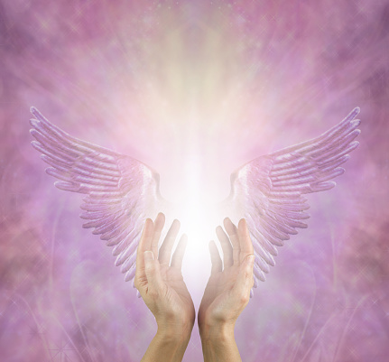 female healer with hands reaching up between silver lilac angel wings and a bright white light against a pink lilac energy background with copy space above
